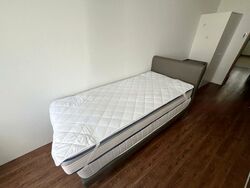 Central Green Condominium (D3), Condominium #447616591